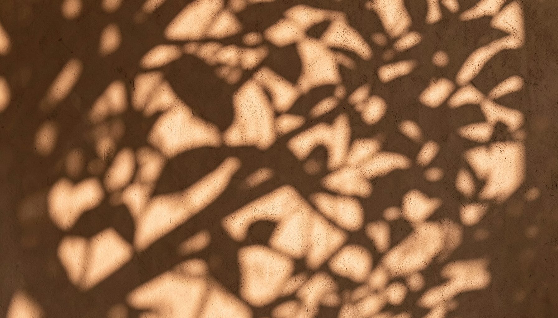 Gros plan abstrait d'ombres de feuillage sur un mur terre cuite, lumière douce et atmosphère apaisante