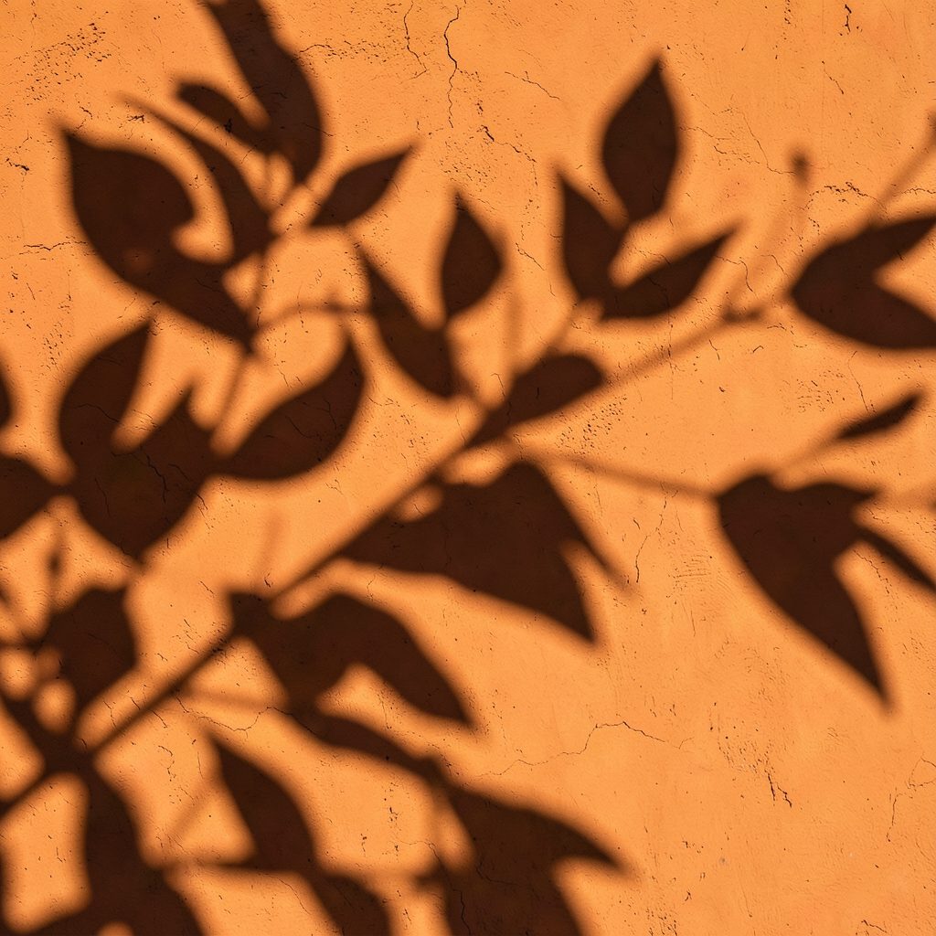 Gros plan abstrait d'ombres de feuilles projetées sur un mur orange terre cuite, ambiance douce et méditerranéenne